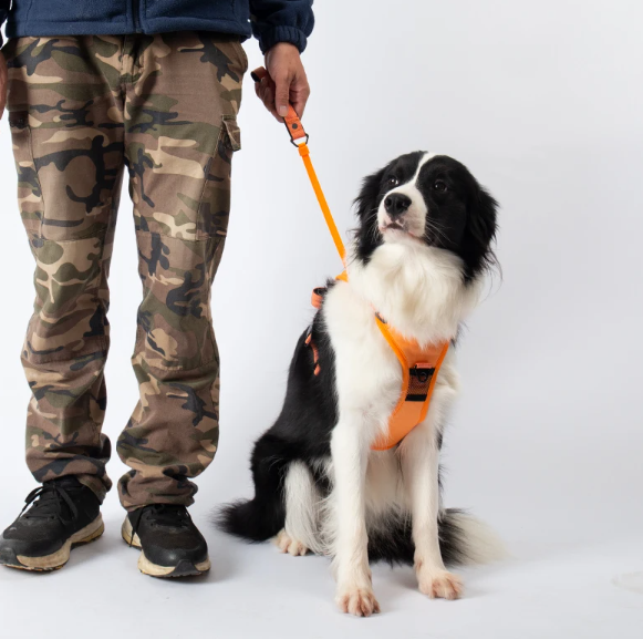 Duo Flex - 2 In 1 Pet Harness