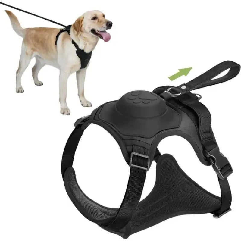 Duo Flex - 2 In 1 Pet Harness