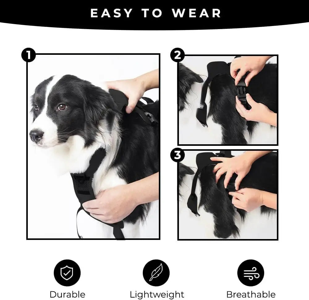 Duo Flex - 2 In 1 Pet Harness